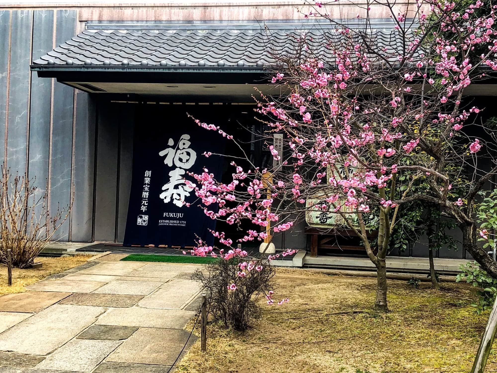 🍶 고베 주심관 도메구라 (고베 슈신칸 토메구라) 이미지 11